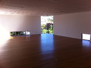 Kim Schoenstadt